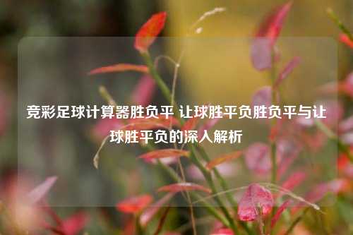 竞彩足球计算器胜负平 让球胜平负胜负平与让球胜平负的深入解析
