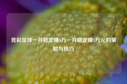 竞彩足球一月稳定赚1万一月稳定赚1万元的策略与技巧