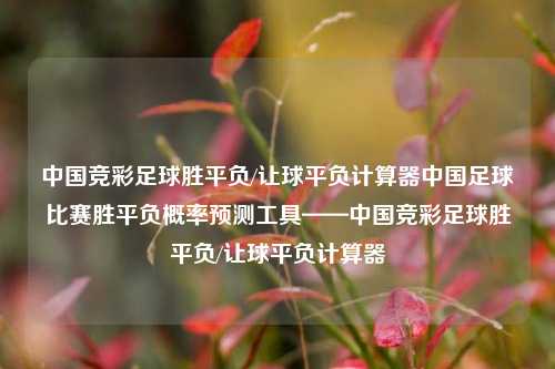 中国竞彩足球胜平负/让球平负计算器中国足球比赛胜平负概率预测工具——中国竞彩足球胜平负/让球平负计算器