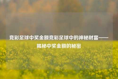 竞彩足球中奖金额竞彩足球中的神秘财富——揭秘中奖金额的秘密