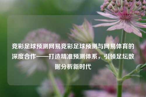 竞彩足球预测网易竞彩足球预测与网易体育的深度合作——打造精准预测体系，引领足坛数据分析新时代
