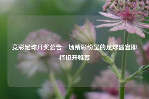 竞彩足球开奖公告一场精彩纷呈的足球盛宴即将拉开帷幕
