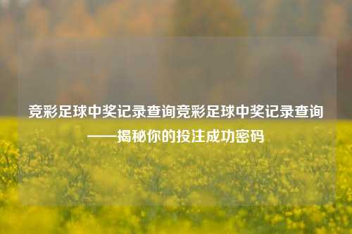 竞彩足球中奖记录查询竞彩足球中奖记录查询——揭秘你的投注成功密码