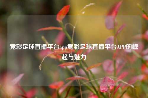 竞彩足球直播平台app竞彩足球直播平台APP的崛起与魅力