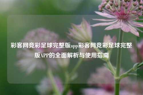 彩客网竞彩足球完整版app彩客网竞彩足球完整版APP的全面解析与使用指南