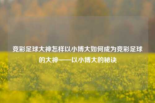 竞彩足球大神怎样以小博大如何成为竞彩足球的大神——以小博大的秘诀