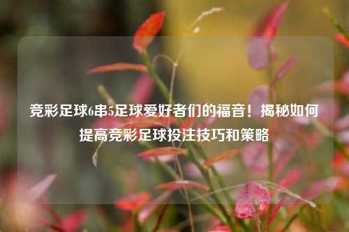 竞彩足球6串5足球爱好者们的福音！揭秘如何提高竞彩足球投注技巧和策略