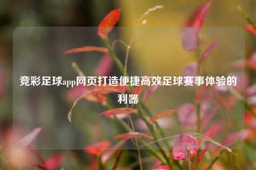 竞彩足球app网页打造便捷高效足球赛事体验的利器