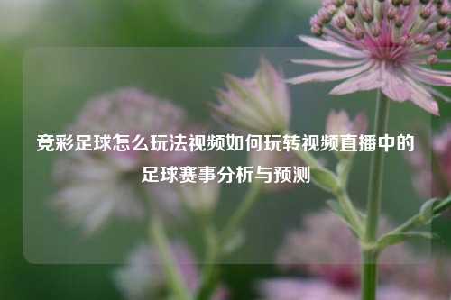 竞彩足球怎么玩法视频如何玩转视频直播中的足球赛事分析与预测