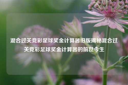 混合过关竞彩足球奖金计算器旧版揭秘混合过关竞彩足球奖金计算器的前世今生