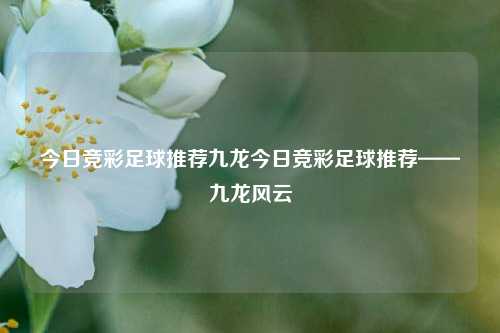 今日竞彩足球推荐九龙今日竞彩足球推荐——九龙风云
