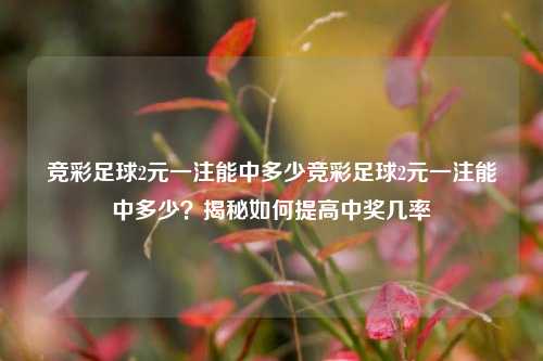 竞彩足球2元一注能中多少竞彩足球2元一注能中多少？揭秘如何提高中奖几率
