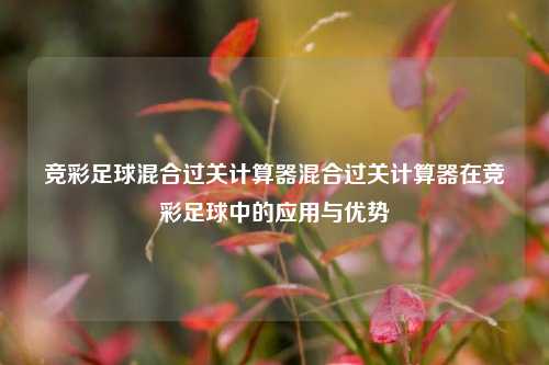 竞彩足球混合过关计算器混合过关计算器在竞彩足球中的应用与优势