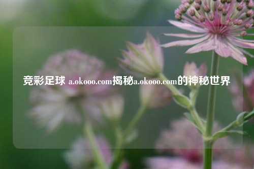竞彩足球 a.okooo.com揭秘a.okooo.com的神秘世界