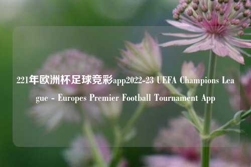 221年欧洲杯足球竞彩app2022-23 UEFA Champions League - Europes Premier Football Tournament App