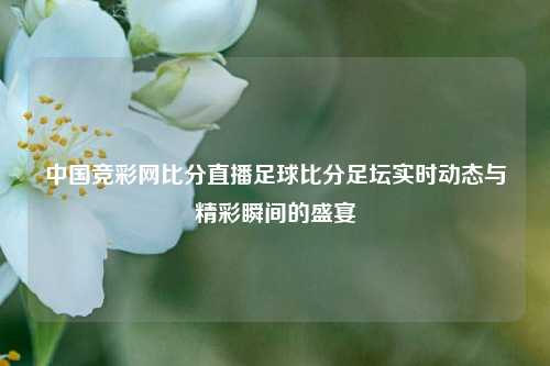 中国竞彩网比分直播足球比分足坛实时动态与精彩瞬间的盛宴