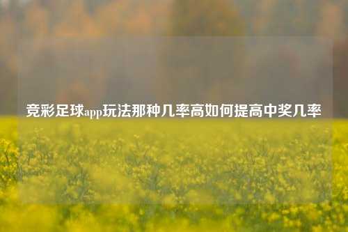 竞彩足球app玩法那种几率高如何提高中奖几率