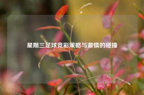 星期三足球竞彩策略与激情的碰撞