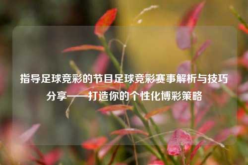 指导足球竞彩的节目足球竞彩赛事解析与技巧分享——打造你的个性化博彩策略