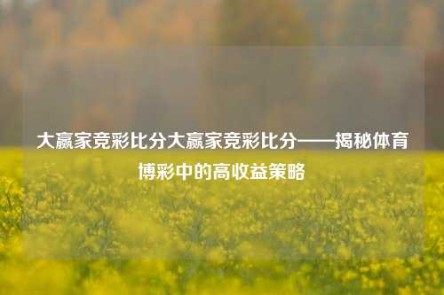 大赢家竞彩比分大赢家竞彩比分——揭秘体育博彩中的高收益策略