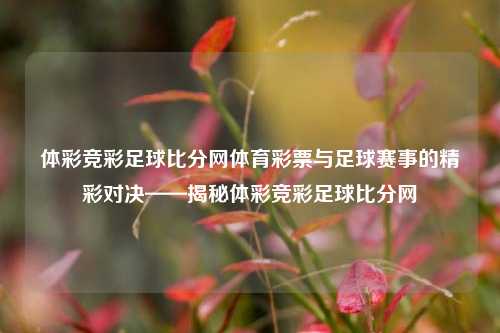 体彩竞彩足球比分网体育彩票与足球赛事的精彩对决——揭秘体彩竞彩足球比分网
