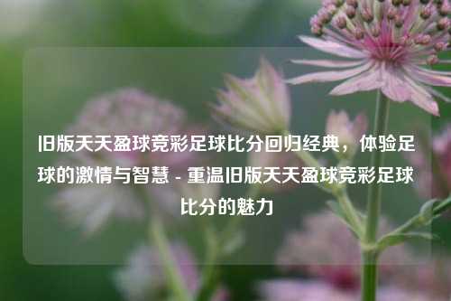 旧版天天盈球竞彩足球比分回归经典，体验足球的激情与智慧 - 重温旧版天天盈球竞彩足球比分的魅力