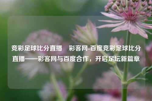 竞彩足球比分直播–彩客网-百度竞彩足球比分直播——彩客网与百度合作，开启足坛新篇章