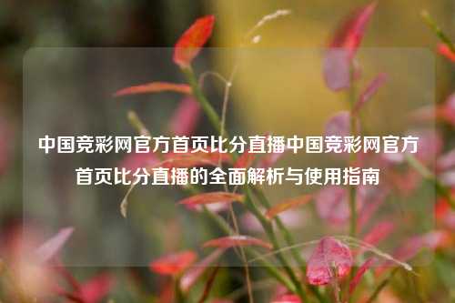 中国竞彩网官方首页比分直播中国竞彩网官方首页比分直播的全面解析与使用指南