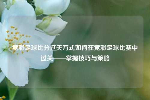 竞彩足球比分过关方式如何在竞彩足球比赛中过关——掌握技巧与策略