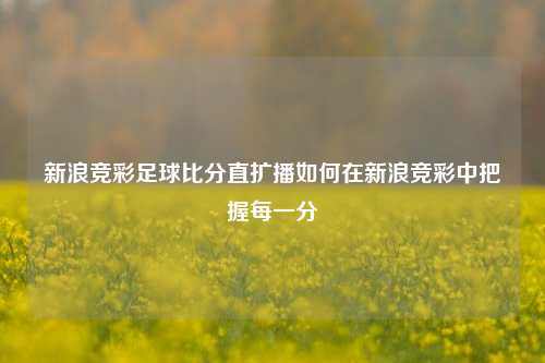 新浪竞彩足球比分直扩播如何在新浪竞彩中把握每一分