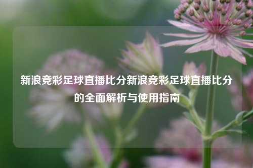 新浪竞彩足球直播比分新浪竞彩足球直播比分的全面解析与使用指南