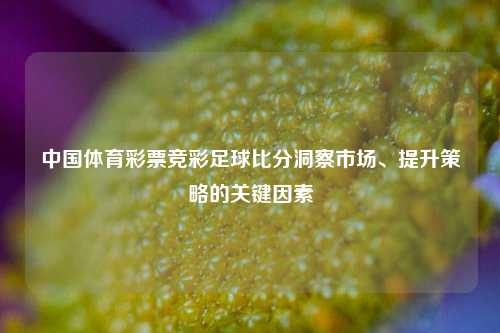 中国体育彩票竞彩足球比分洞察市场、提升策略的关键因素