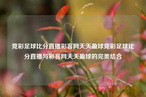 竞彩足球比分直播彩客网天天盈球竞彩足球比分直播与彩客网天天盈球的完美结合