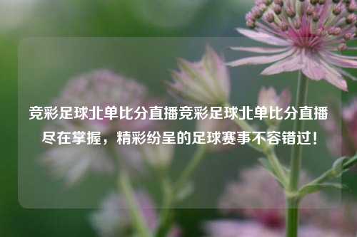 竞彩足球北单比分直播竞彩足球北单比分直播尽在掌握，精彩纷呈的足球赛事不容错过！