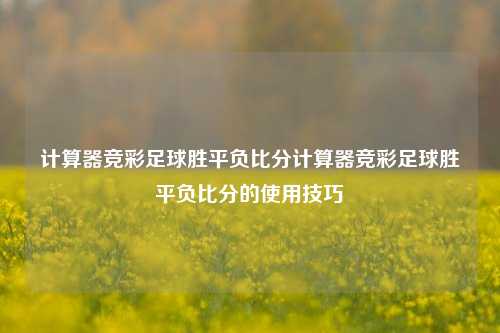 计算器竞彩足球胜平负比分计算器竞彩足球胜平负比分的使用技巧