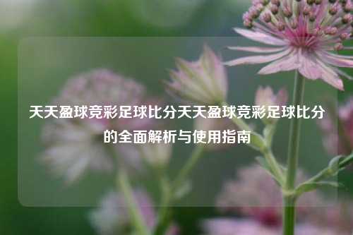 天天盈球竞彩足球比分天天盈球竞彩足球比分的全面解析与使用指南