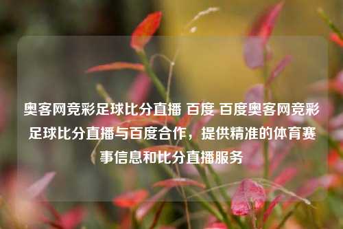 奥客网竞彩足球比分直播 百度 百度奥客网竞彩足球比分直播与百度合作，提供精准的体育赛事信息和比分直播服务