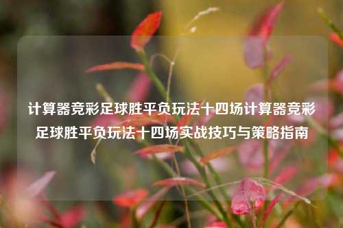 计算器竞彩足球胜平负玩法十四场计算器竞彩足球胜平负玩法十四场实战技巧与策略指南