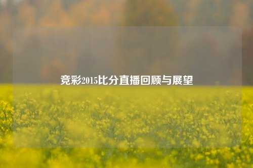竞彩2015比分直播回顾与展望