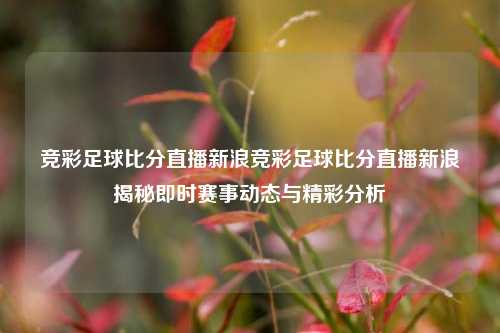 竞彩足球比分直播新浪竞彩足球比分直播新浪揭秘即时赛事动态与精彩分析