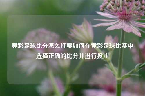 竞彩足球比分怎么打票如何在竞彩足球比赛中选择正确的比分并进行投注