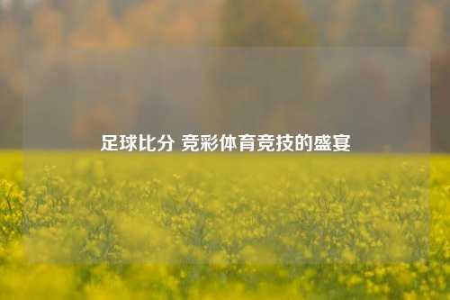 足球比分 竞彩体育竞技的盛宴