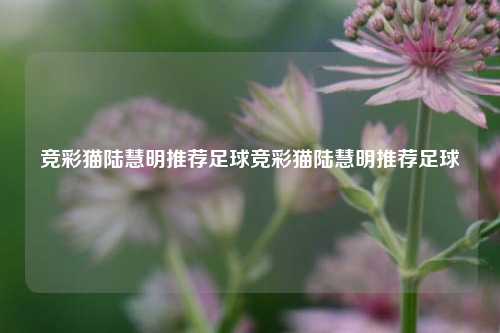 竞彩猫陆慧明推荐足球竞彩猫陆慧明推荐足球