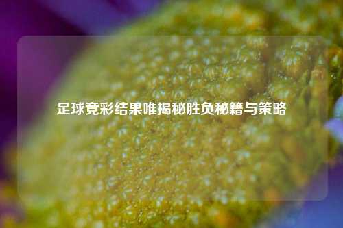 足球竞彩结果唯揭秘胜负秘籍与策略
