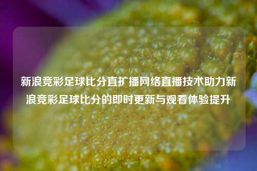新浪竞彩足球比分直扩播网络直播技术助力新浪竞彩足球比分的即时更新与观看体验提升