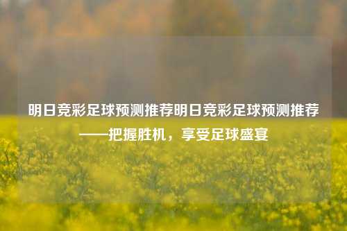 明日竞彩足球预测推荐明日竞彩足球预测推荐——把握胜机，享受足球盛宴