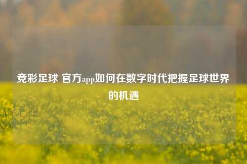 竞彩足球 官方app如何在数字时代把握足球世界的机遇