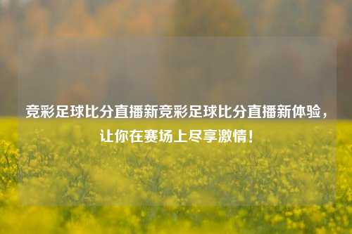 竞彩足球比分直播新竞彩足球比分直播新体验，让你在赛场上尽享激情！