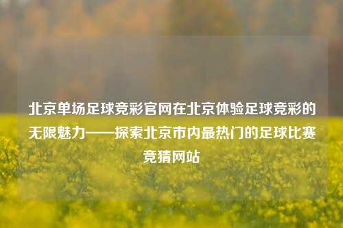 北京单场足球竞彩官网在北京体验足球竞彩的无限魅力——探索北京市内最热门的足球比赛竞猜网站