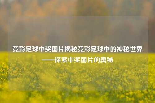 竞彩足球中奖图片揭秘竞彩足球中的神秘世界——探索中奖图片的奥秘